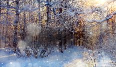 The Season’s Best Gifts for Adventurers!