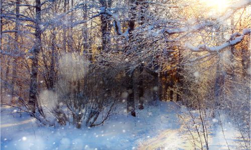 The Season’s Best Gifts for Adventurers!