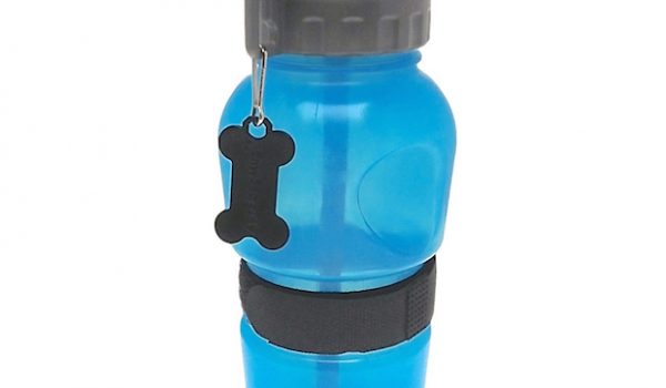 Video: The HighWave Auto Dog Mug Keeps Your Pooch Hydrated on the Trail