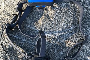 The Best in Running Gear