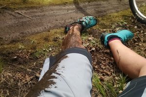 The Best Bike Shorts and Bibs