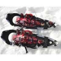 Crescent Moon Gold 9