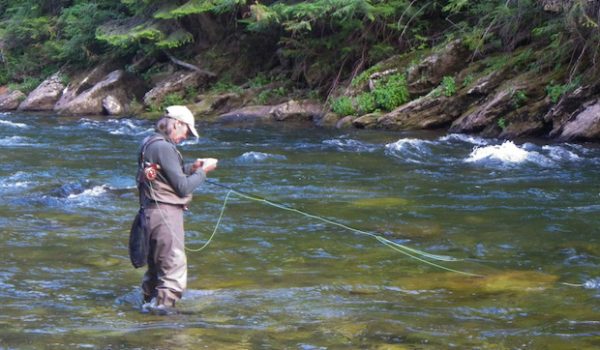 Fly Fishing Tools of the Trade