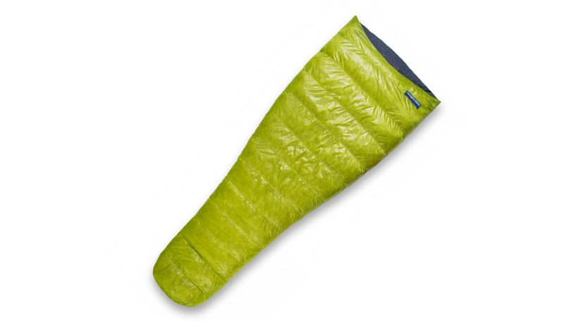 Feathered Friends Tanager