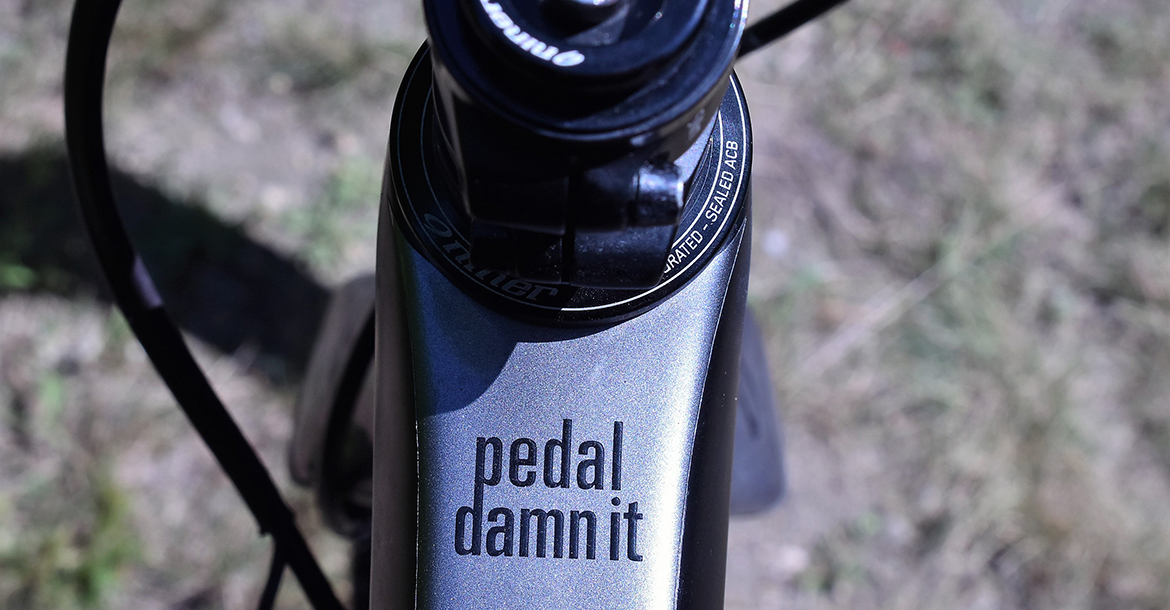 Firstlook NinerRLT 10