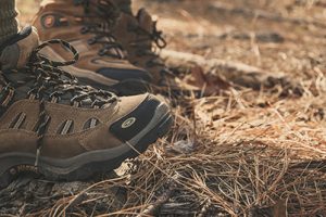 The Best Hiking Boots & Shoes