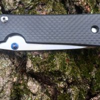 Chris Reeve Large Sebenza 21 w/ Insingo Blade