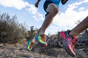The Best Trail Running Shoes