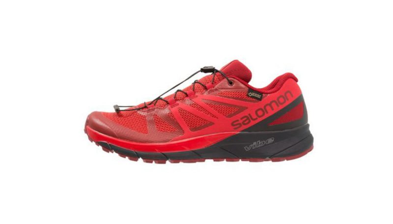 Salomon Sense Ride GTX
