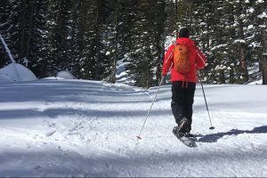 The Best in Hiking & Camping