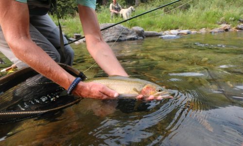 TRCP: Outdoor Recreation Accounts for More than 2 Percent of GDP