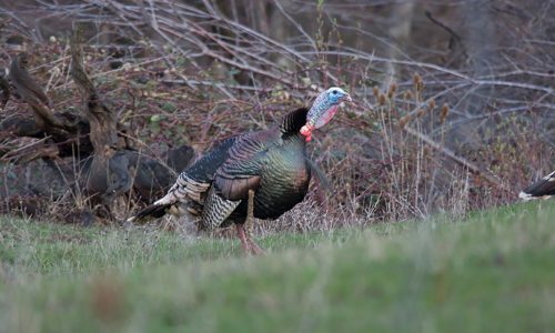 Kuiu Apparel: Designed for hunters, ideal for all outdoor activities