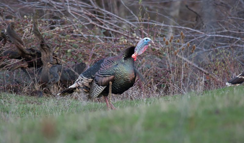 Kuiu Apparel: Designed for hunters, ideal for all outdoor activities