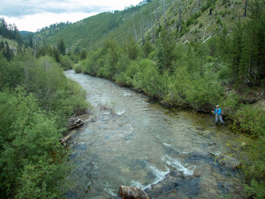 Photo of an angler standing in a small mountain stream in the middle of a deep forested valley.